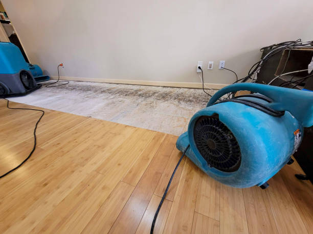 Professional Basement Flood Cleanup technician working in Burton, TX